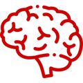 Brains